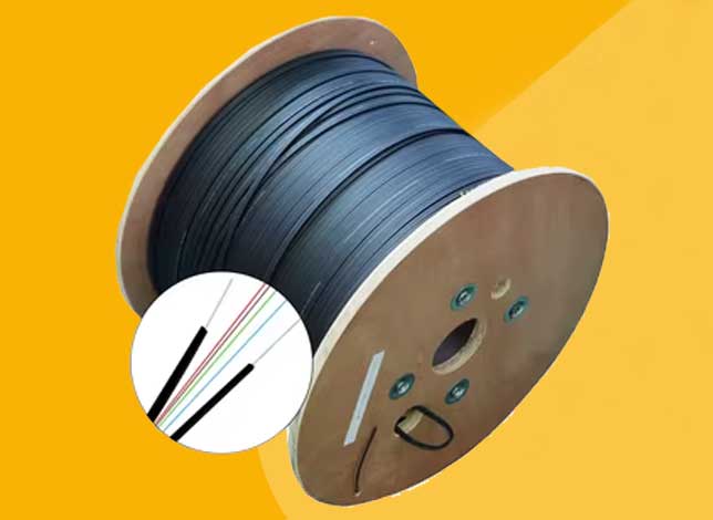 Fiber Optic